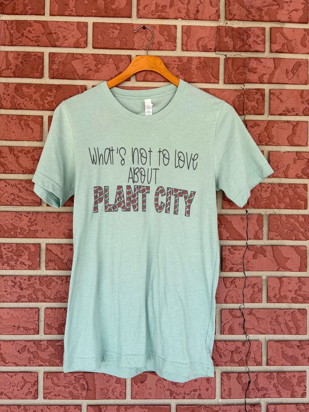 Bella Canvas Mint Green 'Plant City' Graphic Tee
